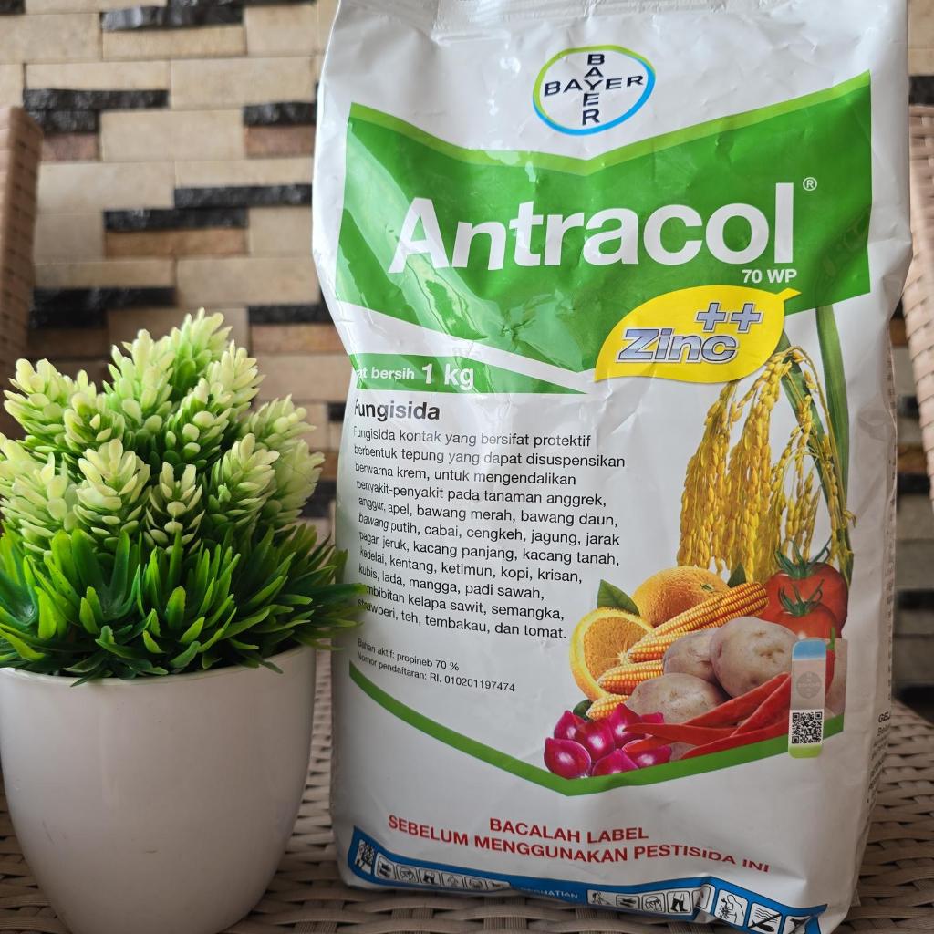 Fungisida Antracol 1kg Obat Jamur