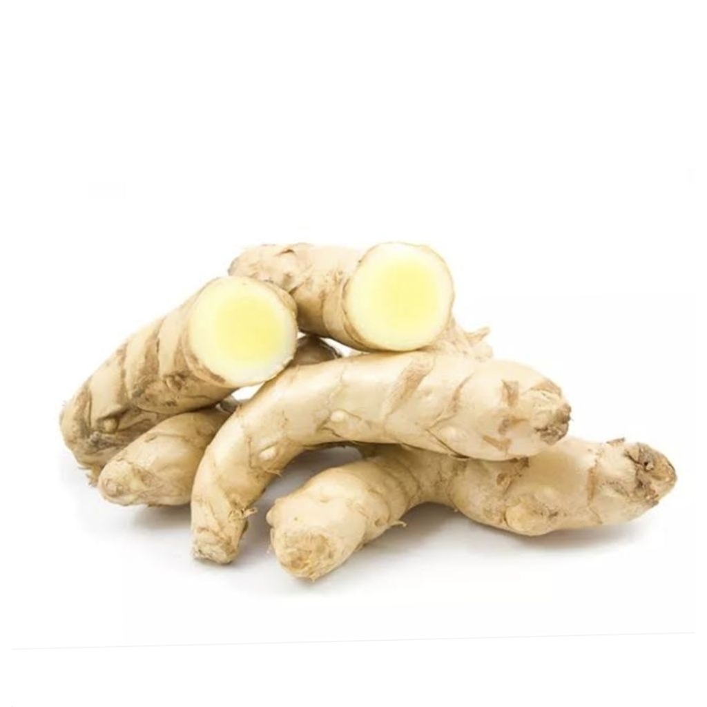 kunyit putih 1kg/ kunyit putih segar 1kg kunyit putih 1kg