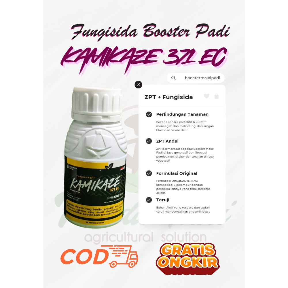KAMIKAZE 250 ml Original | Obat Blast padi ampuh