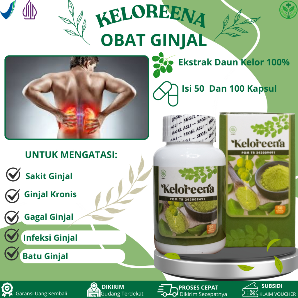 Obat Untuk Sakit Ginjal, Ginjal Kronis, Gagal Ginjal, Infeksi Ginjal, Ginjal Kotor, Batu Ginjal, Gag