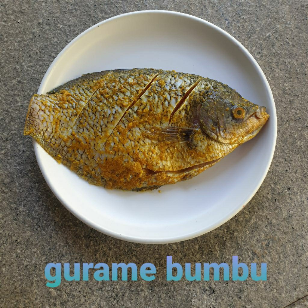 ikan gurami marinasi bumbu / gurame tawar frozen untuk goreng ato bakar