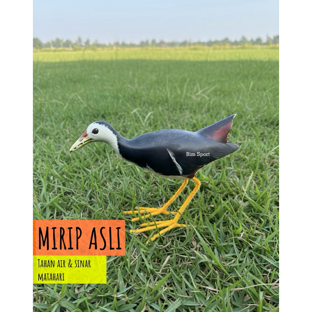 Patung ruak ruak burung ruakruak