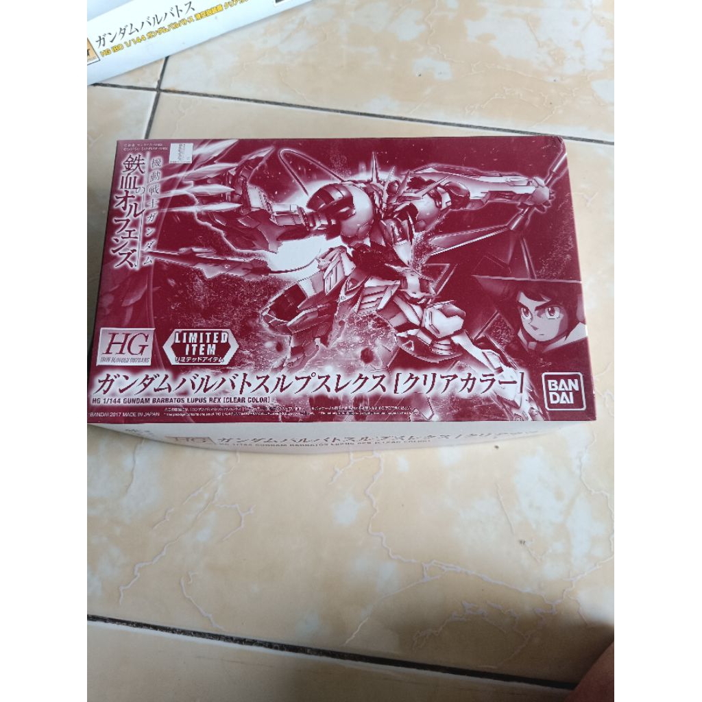 HGIBO BARBATOS LUPUS REX CLEAR EXPO