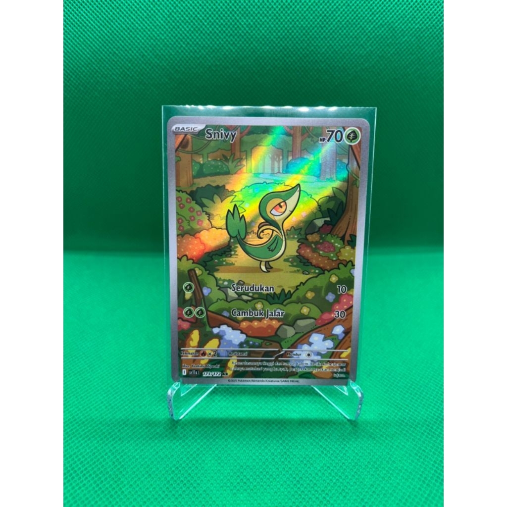 AR snivy (SO Meirlane Ren)