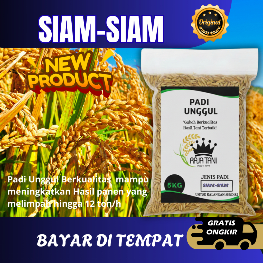 Benih Padi Unggul 5Kg Siam-Siam Original