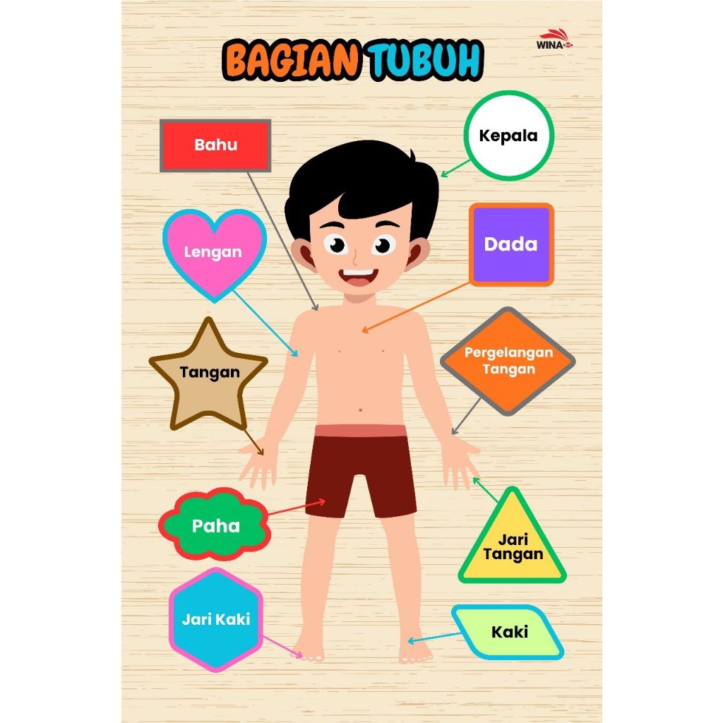 Mainan Edukasi Puzzle Mengenal Bagian Tubuh & Bentuk Geometri - Puzzle Anak TK PAUD Alat Peraga Eduk