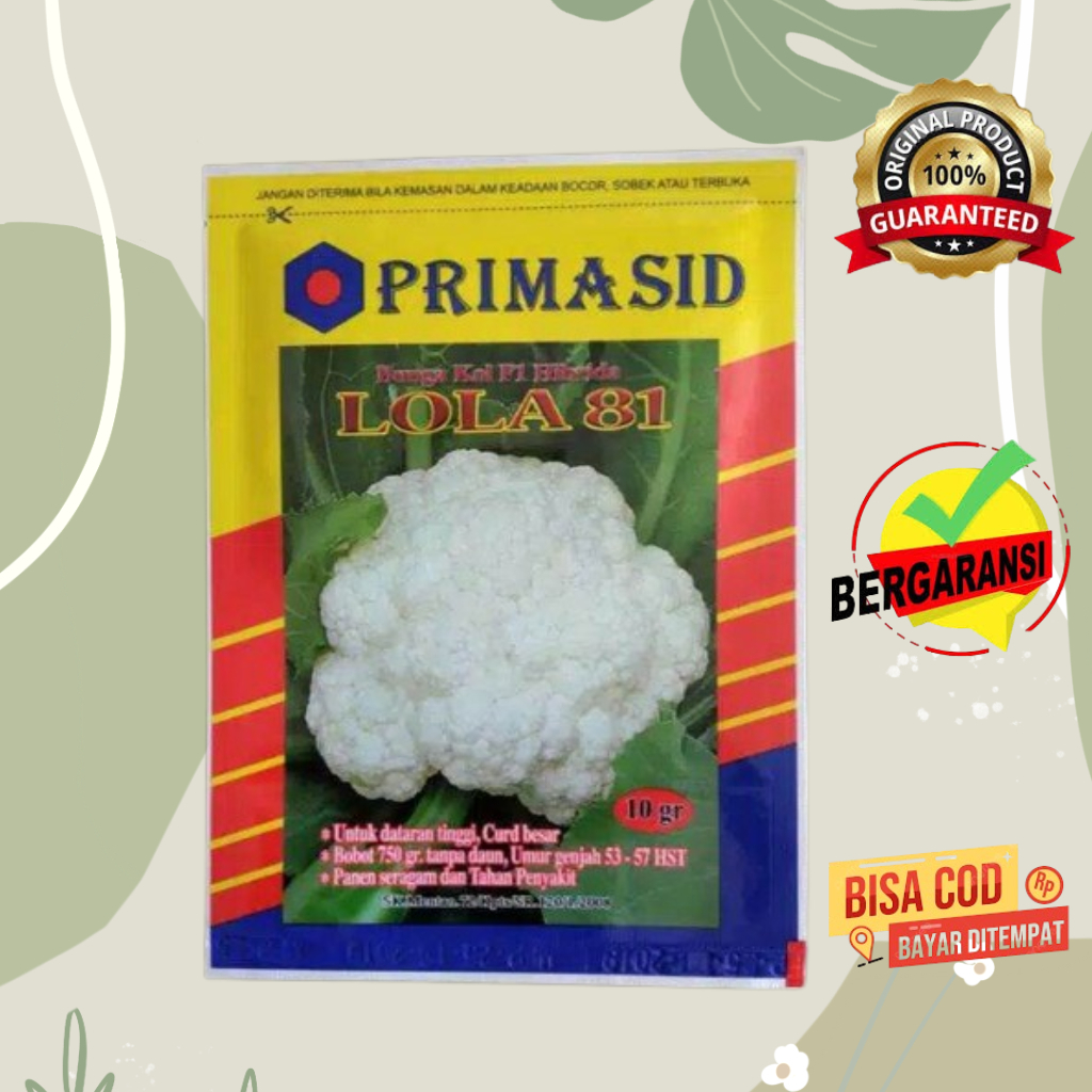 Benih Bunga Kol Lola 81 F1 10 Gram