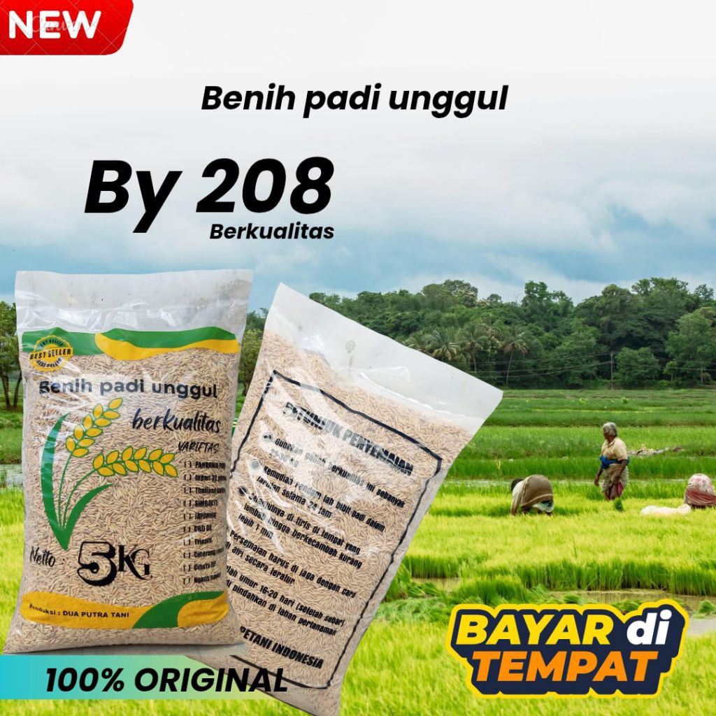 BENIH PADI BY 208 TERBARU BIBIT PADI (DPT04) KEMASAN 5KG BERKUALITAS TERBAIK