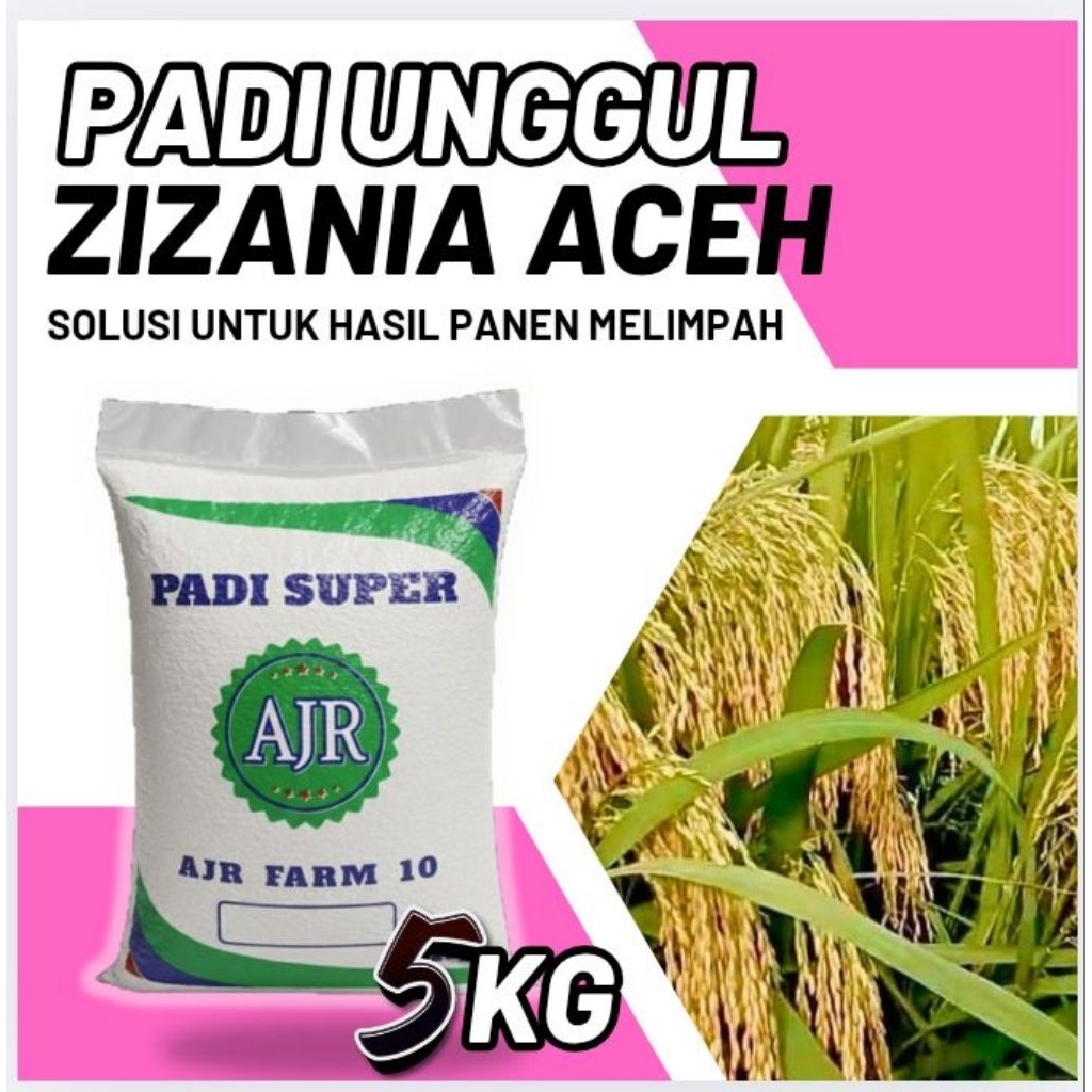 Benih Padi Unggul Kualitas Terjamin (ZIZANIA ACEH)5Kg