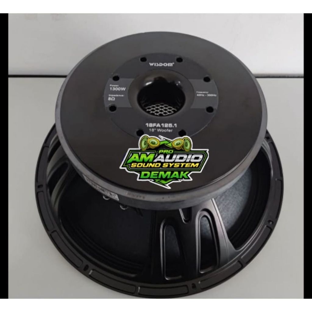 Speaker 18 inch Wisdom 18FA125.1