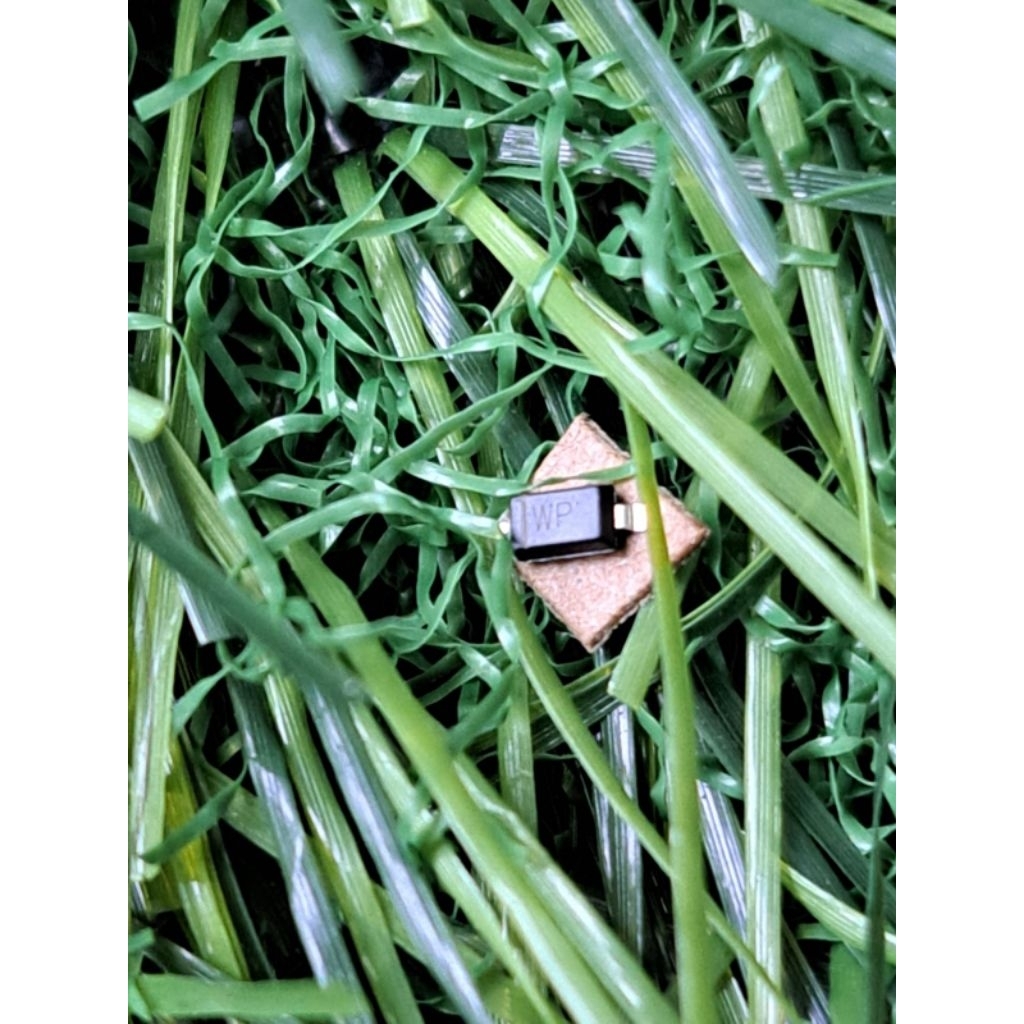 dioda zener smd 27v orginal