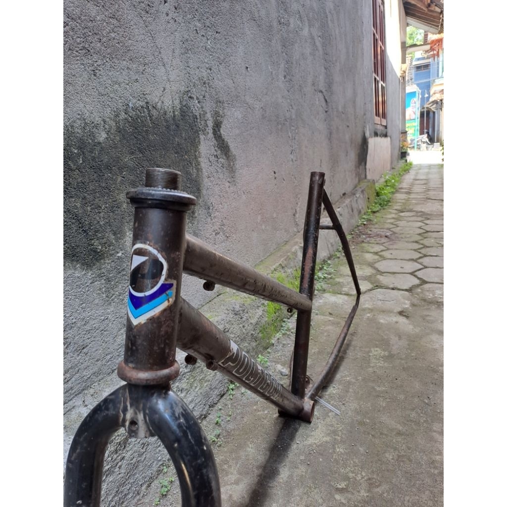 frame vintage  polygon lady