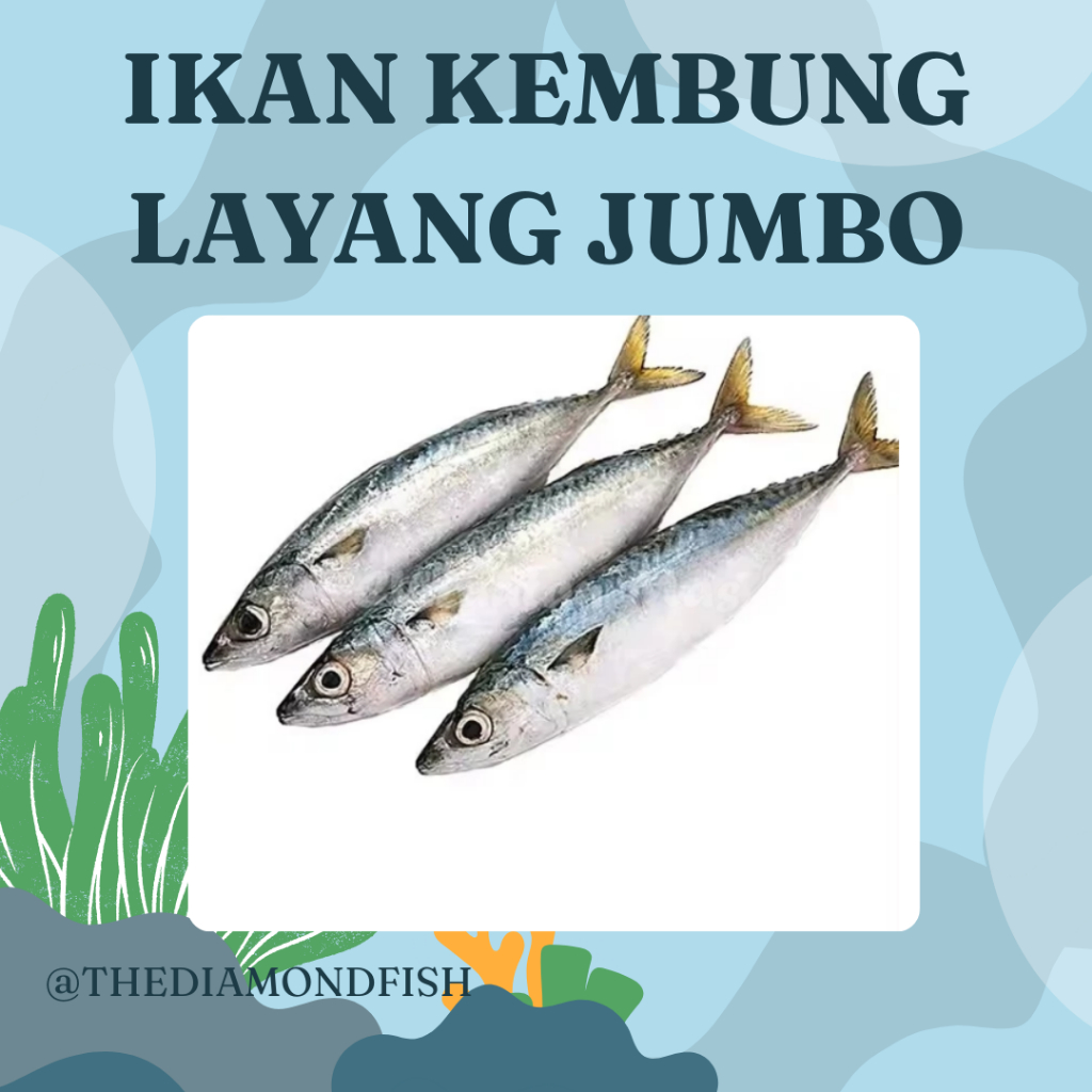 Ikan Kembung Layang 1Kg Ikan Layang Segar Ikan Layang Jumbo