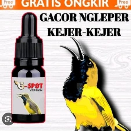 gspot / g spot vitamin khusus burung