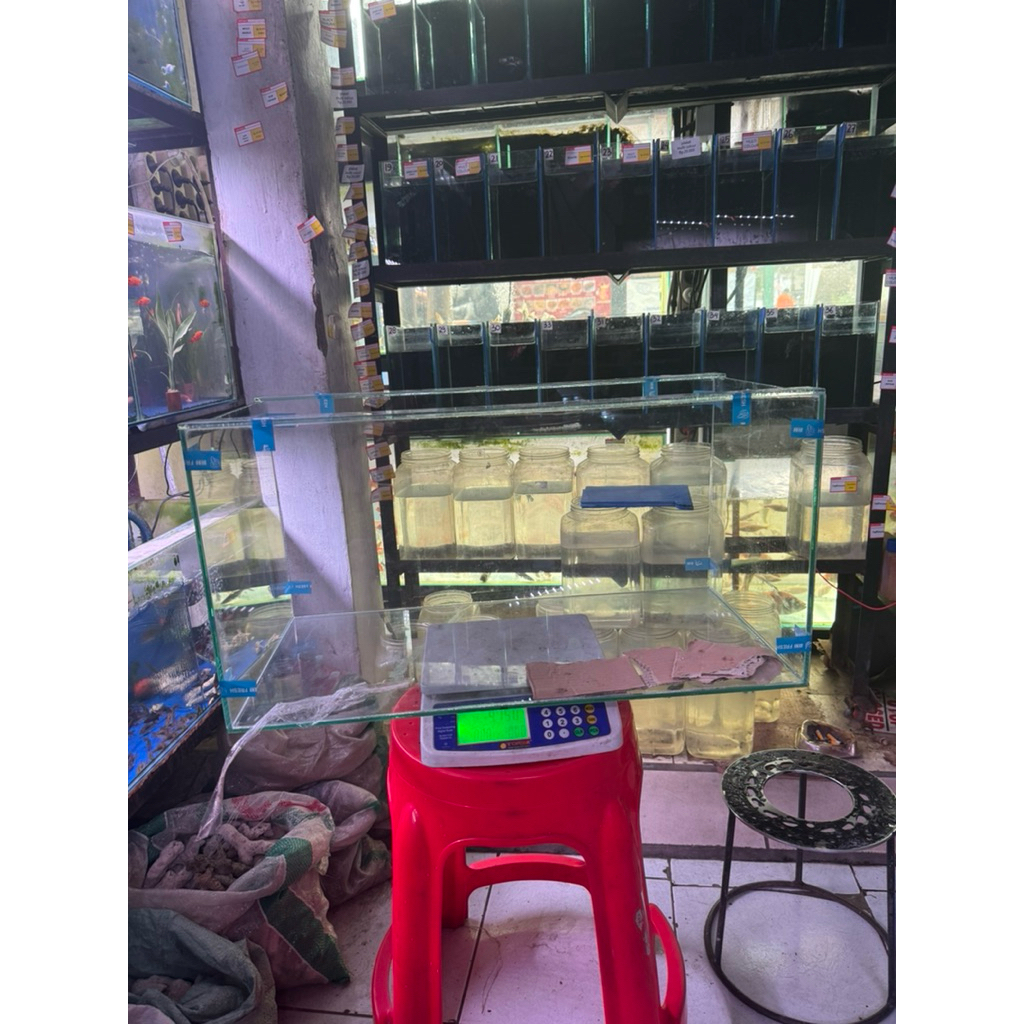akuarium ukuran 60x30x30 kaca baru ketebalan 5mm