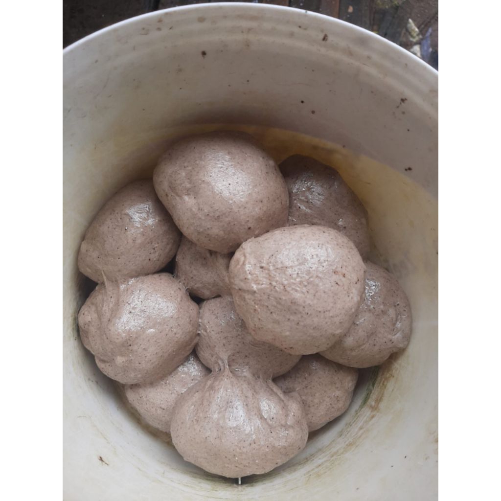 pulut burung