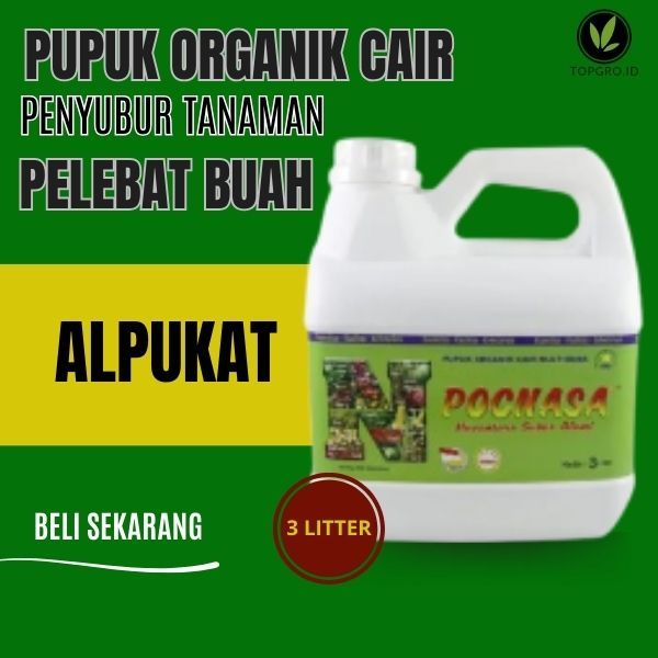 Pupuk Cair Alpukat /  Pupuk Alpukat Mentega Super / 1 Kg /  Alpukat Sudah Berbuah / Cepat Berbuah
