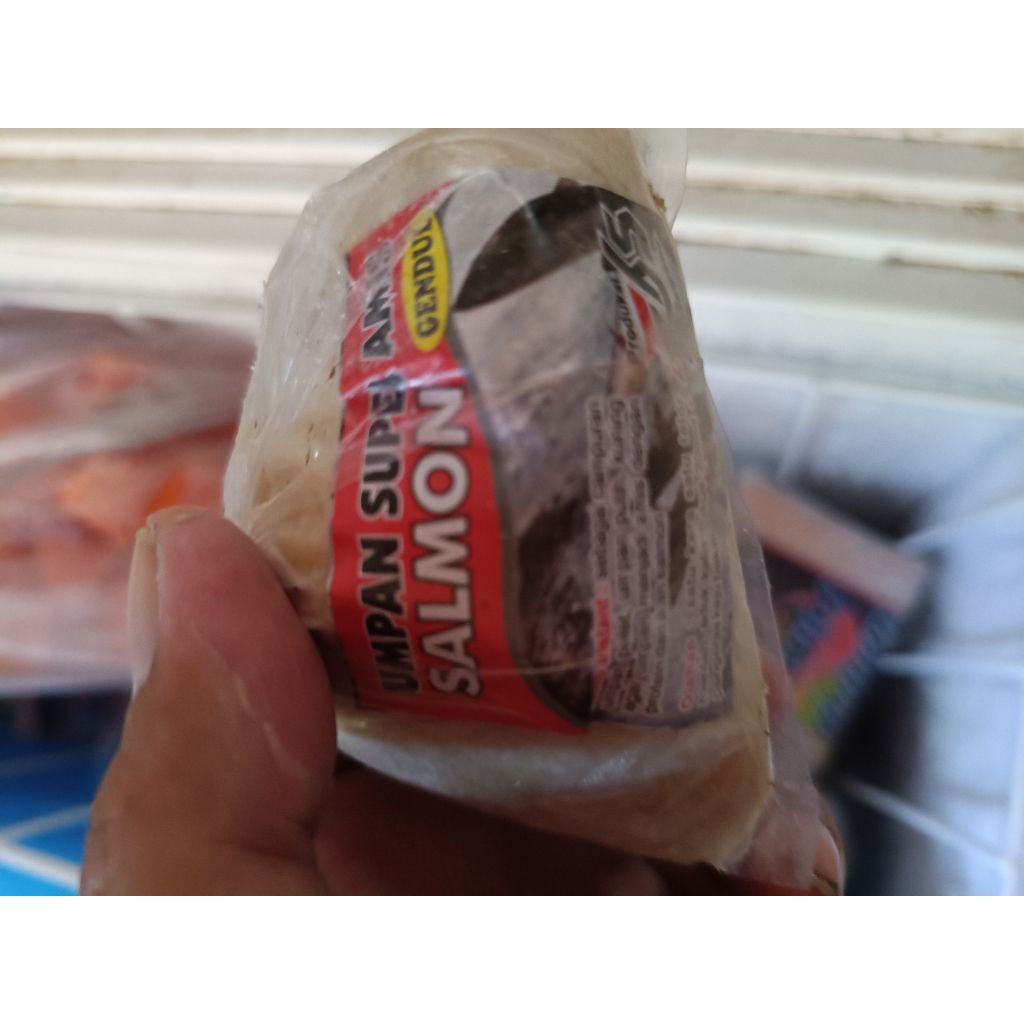 umpan ikan mas gendul salmon