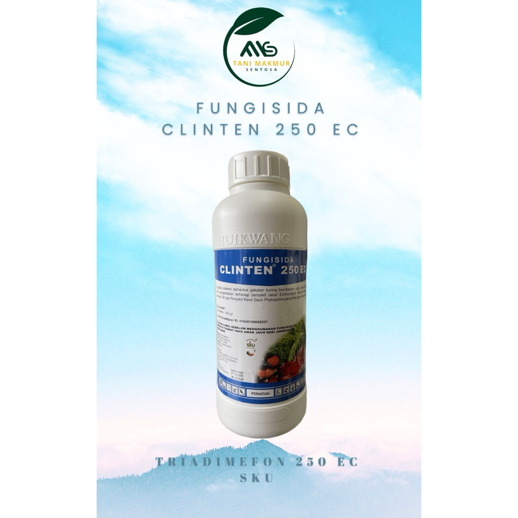 Fungisida CLINTEN 250 EC (Triadimefon) Mengendalikan penyakit Embun tepung (sejenis Nimrod)