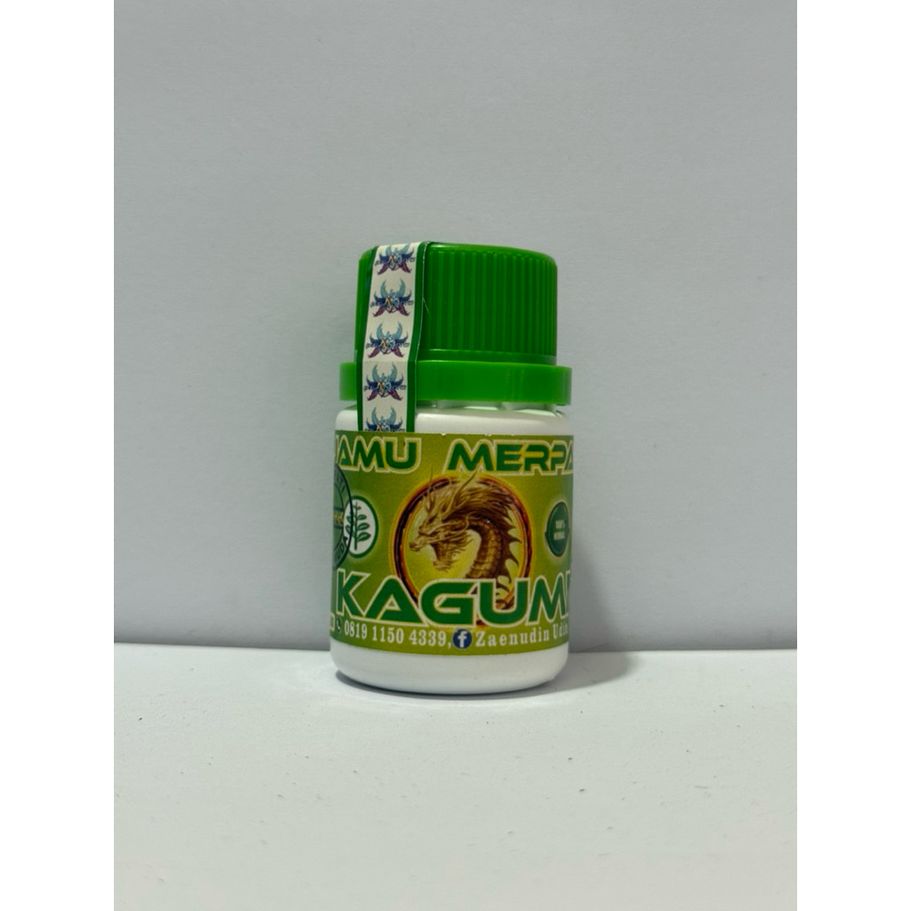 kagumi piyik latih jamu merpati kagumi