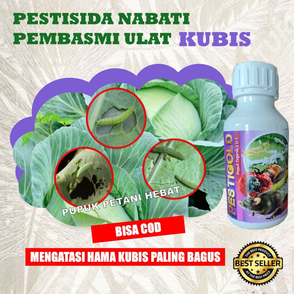 PESTIGOLD 500 ML PESTISIDA KUBIS TERBAIK | AMPuh BASMI ULAT KUBIS DAN KUTU DAUN | HASIL TERBUKTI, AM
