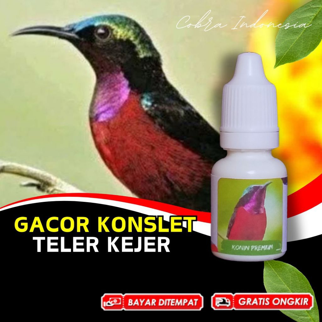 Vitamin Burung Kolibir Ninja Konin