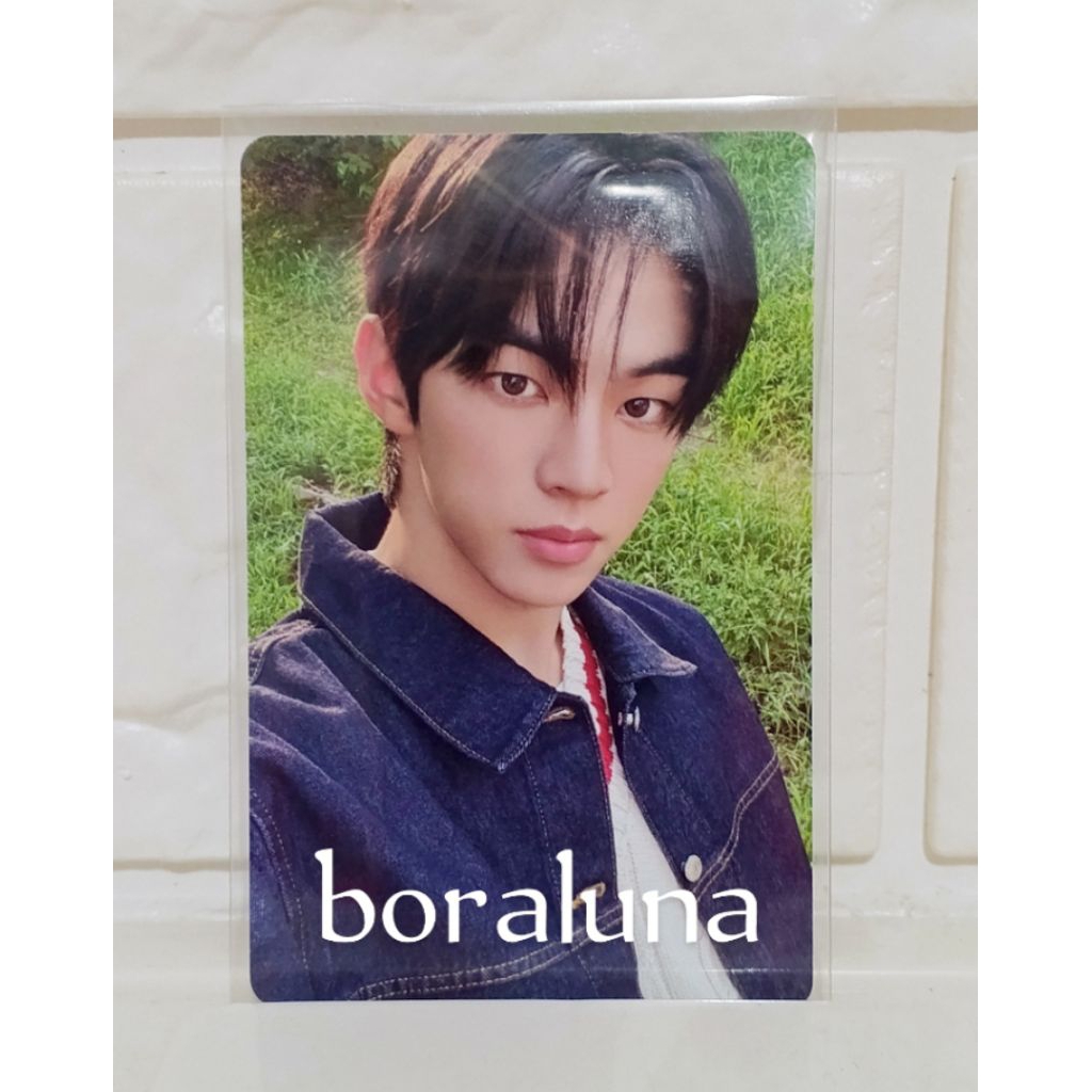 (ready) photocard tws Dohoon official