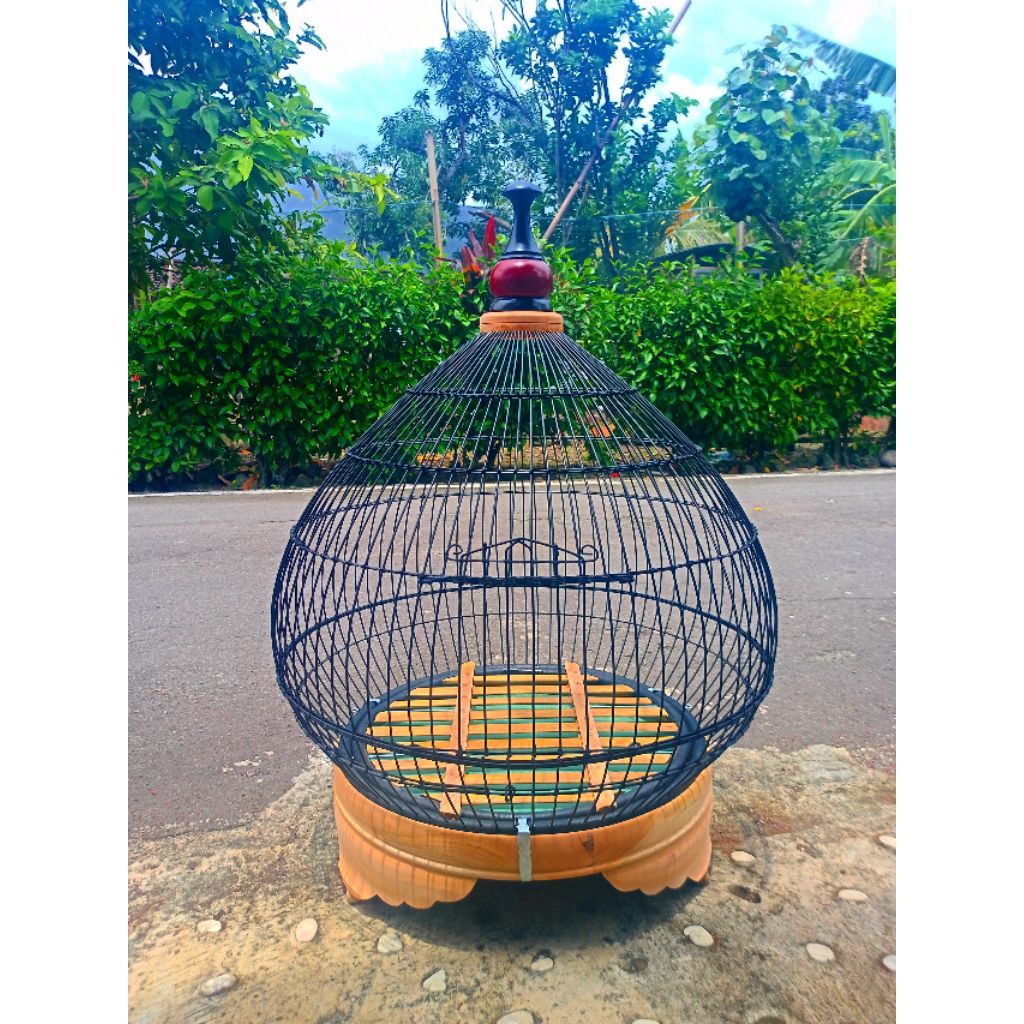 sangkar ayam hutan kandang ayam hutan sangkar kabel wifi sangkar ayam hutan hijau kandang ayam hutan