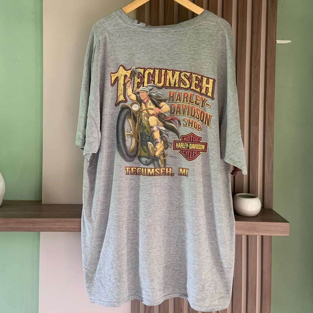 KAOS VINTAGE HARLEY DAVIDSON TECUMSEH, MI