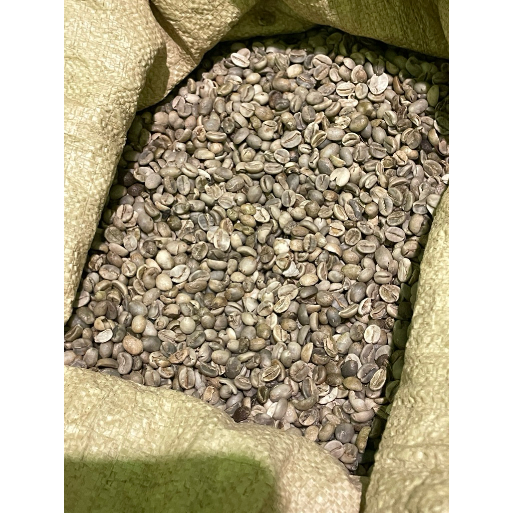 BIJI KOPI ARABIKA ARGOPURO ASALAN