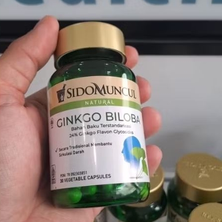 SIDOMUNCUL GINKGO BILOBA