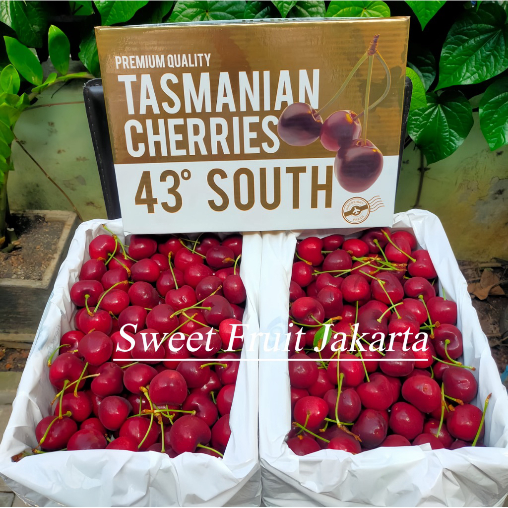 Cherry Tasmanian Premium Size 30-32 / Cherry Tasmanian Manis Super Per Dus Berat 2 kg