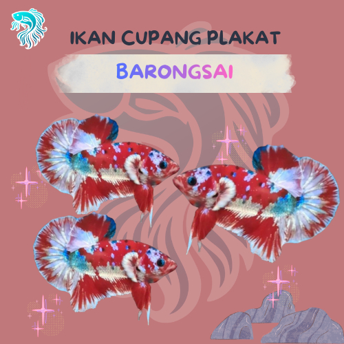 IKAN CUPANG BARONGSAI