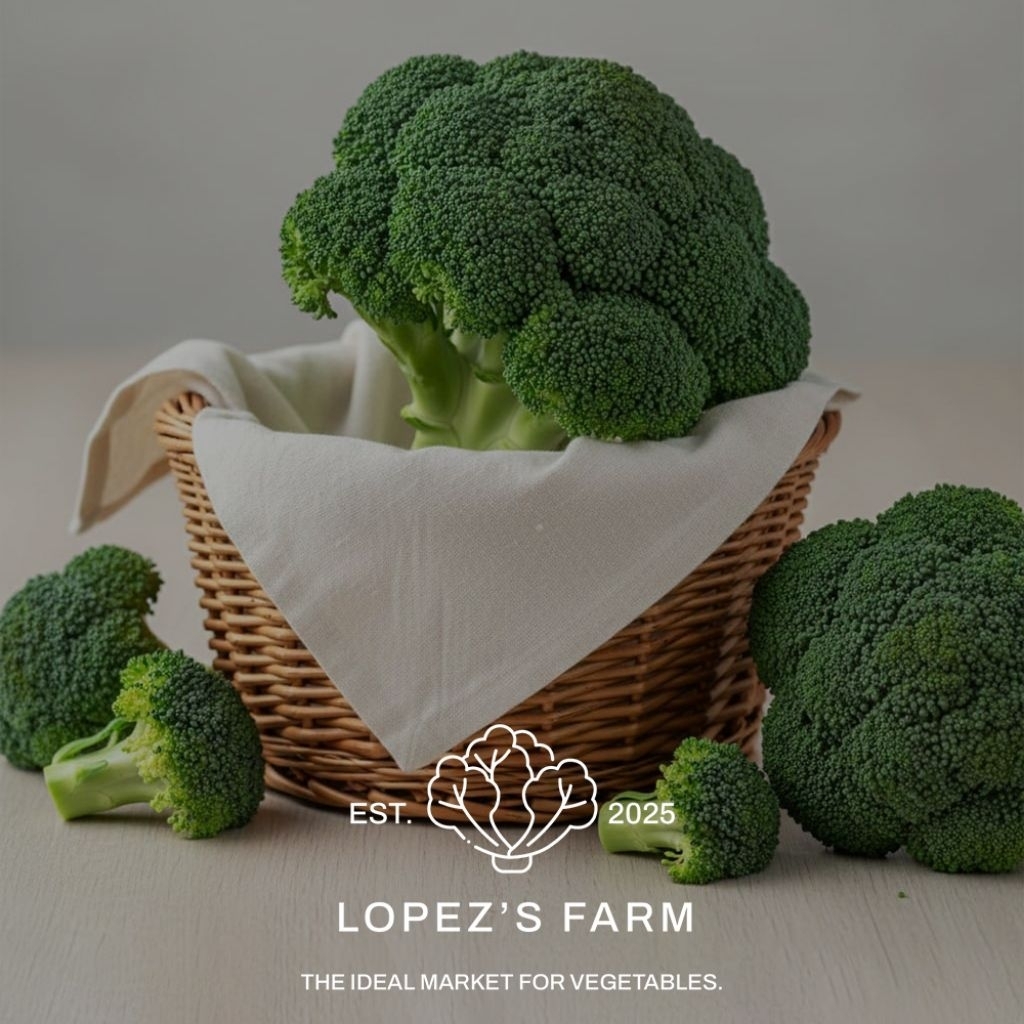 Brokoli fresh Import