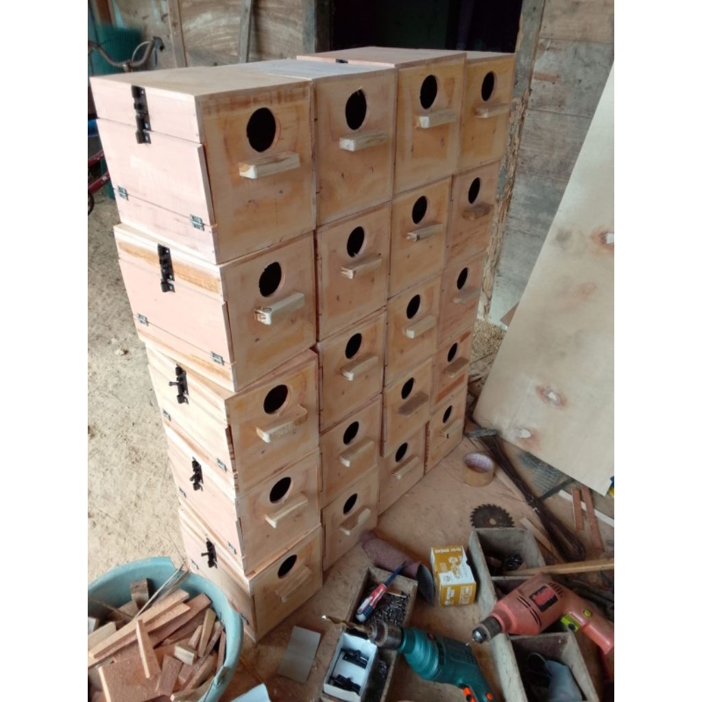 Glodok burung lovebird