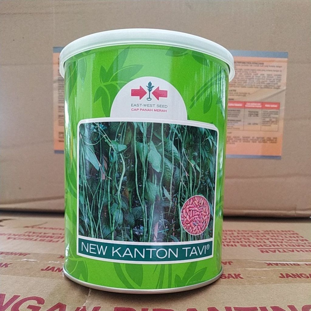 kacang panjang New KANTON TAVI original new kanton tavi 500gr