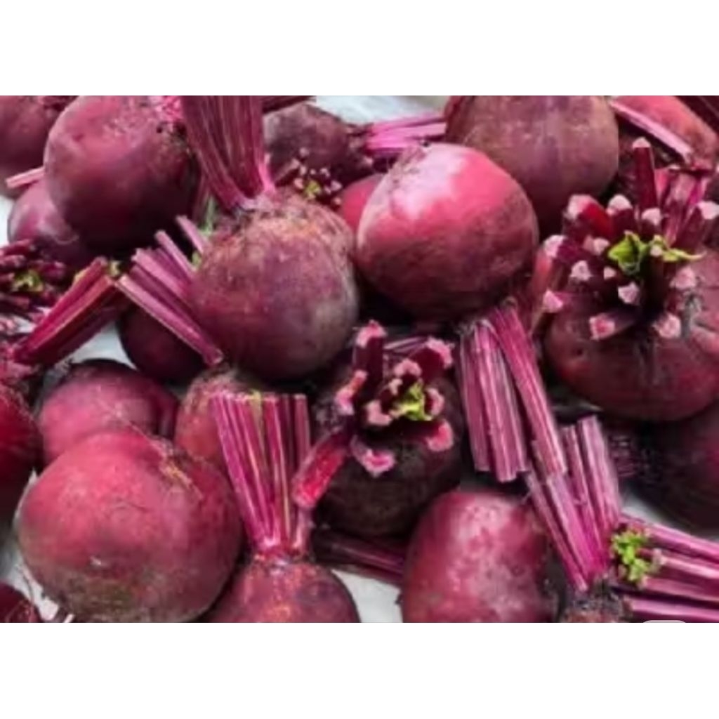 Buah Bit 1kg