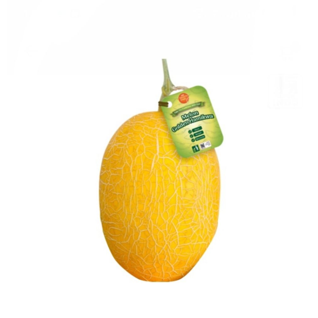 melon golden hamikwa whl per kg