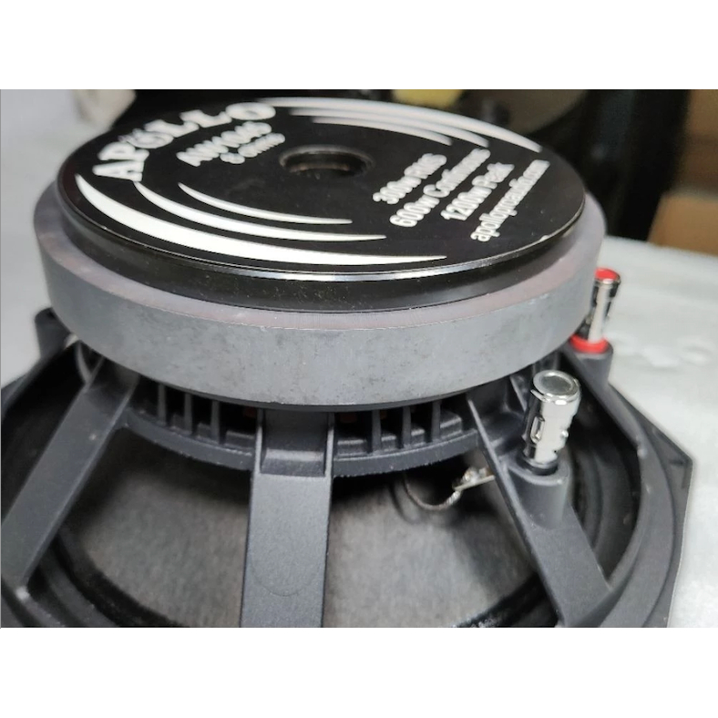 Komponen Speaker / 10 Inch / Apollo AW1045 / VC 2.5 IN / APL AW 1045 / 98dB – RMS 300 Watt