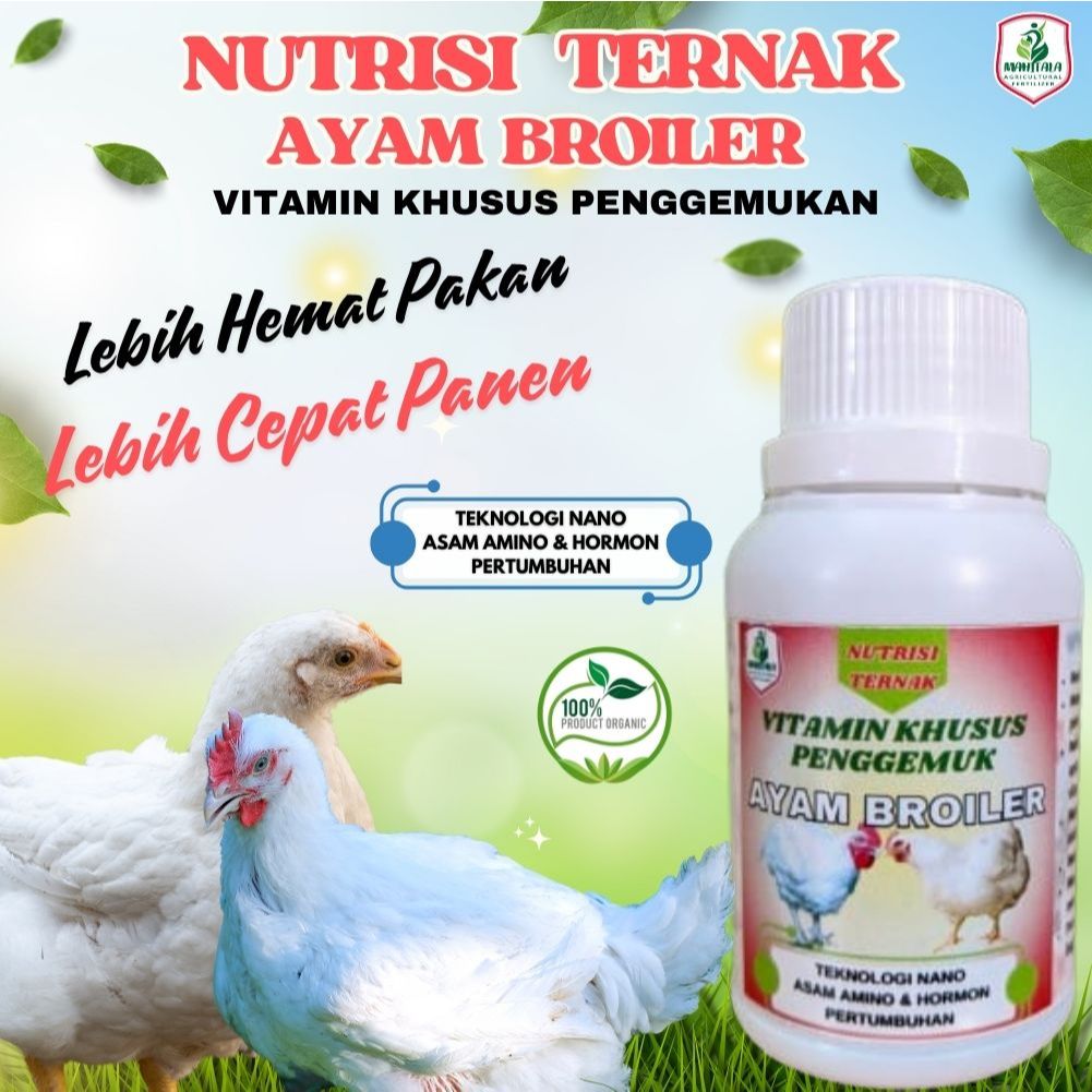 Vitamin Suplemen Ayam Cepat Besar Jamu Ayam Broiler Booster Ayam Pedaging Cepat Besar Cepat Gemuk