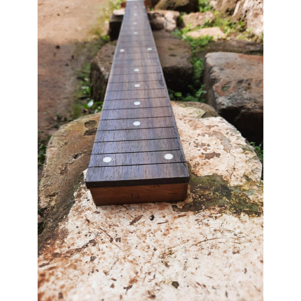 Neck bass schecter 5 string