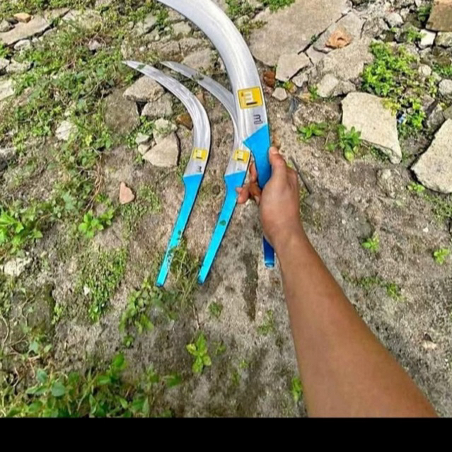 ##Tangkai Egrek mi global #