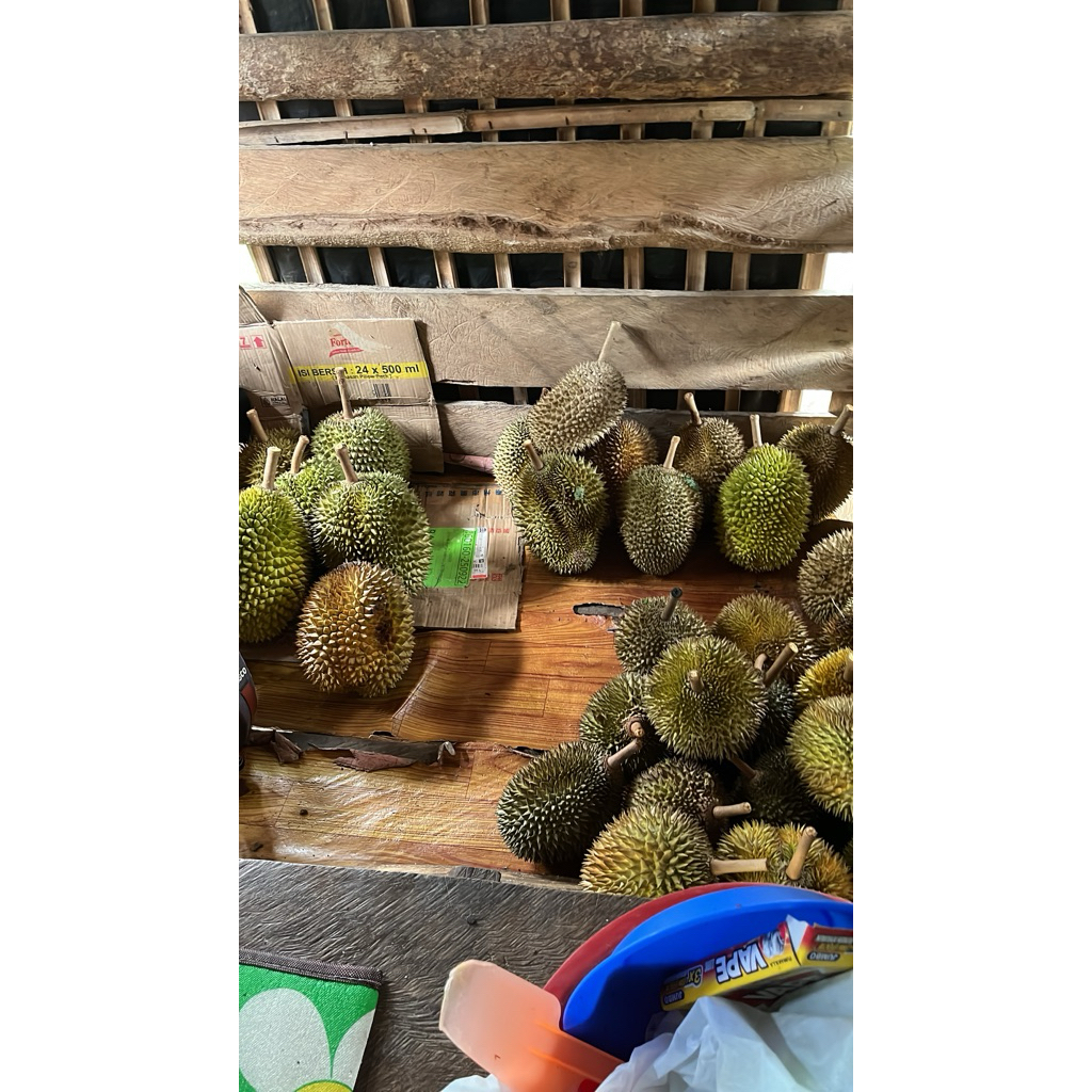durian tembaga