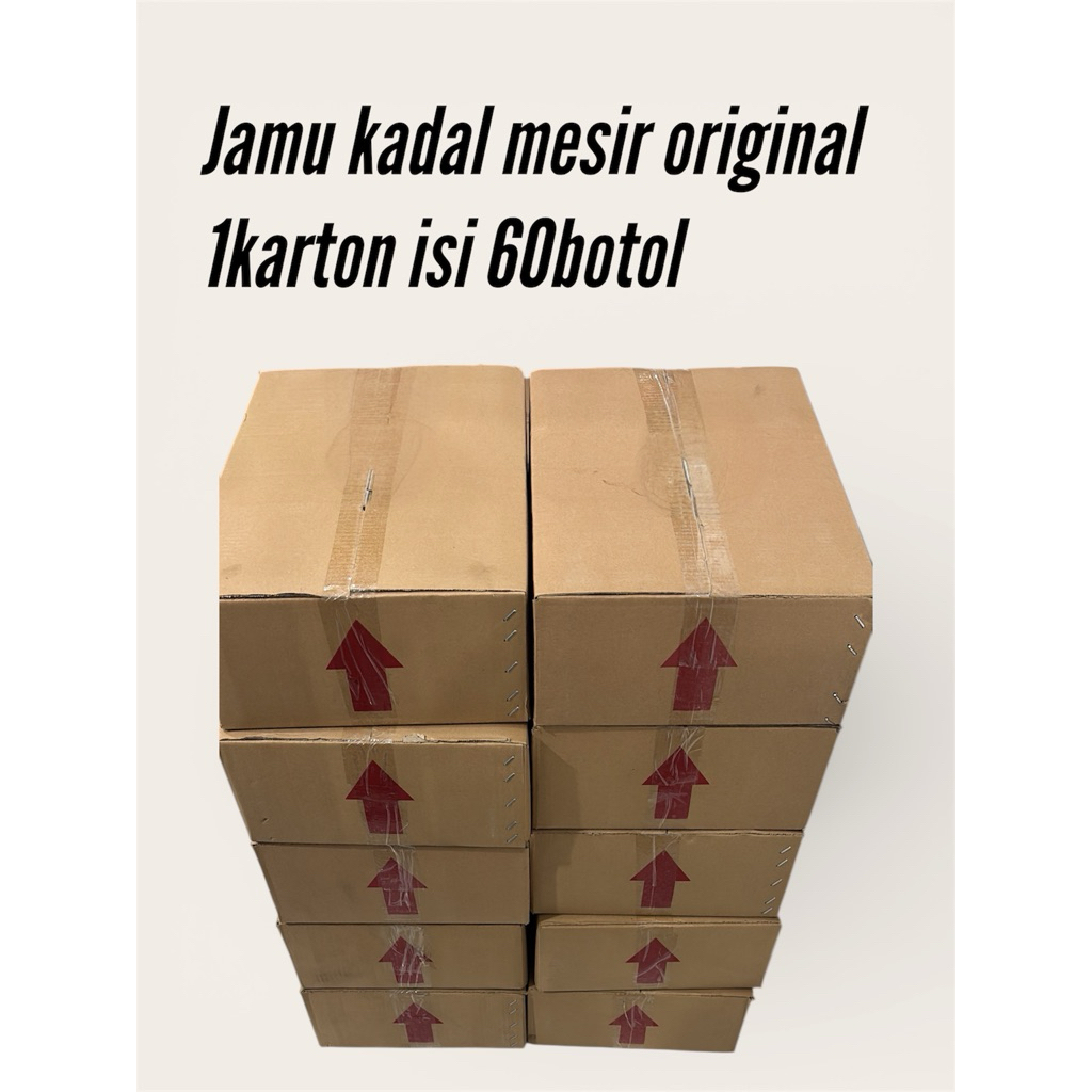 jamu kadal mesir besar 1karton isi 60botol