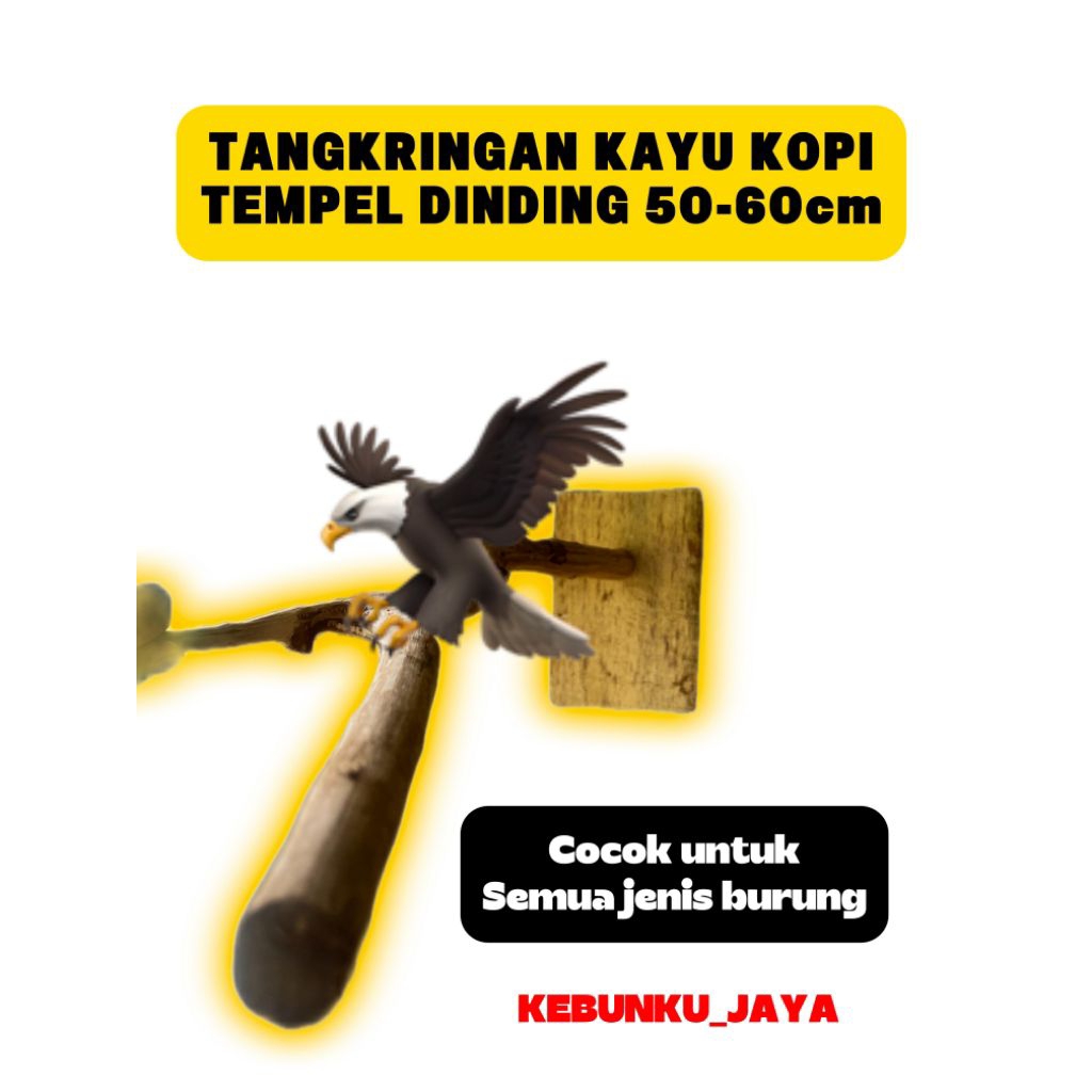 Tangkringan Ranting Kayu Tempel Dinding Cocok Untuk Semua Burung