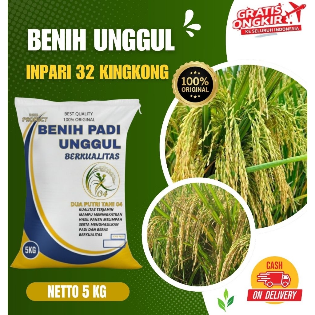 Benih padi unggul INPARI 32 KINGKONG kemasan 5Kg
