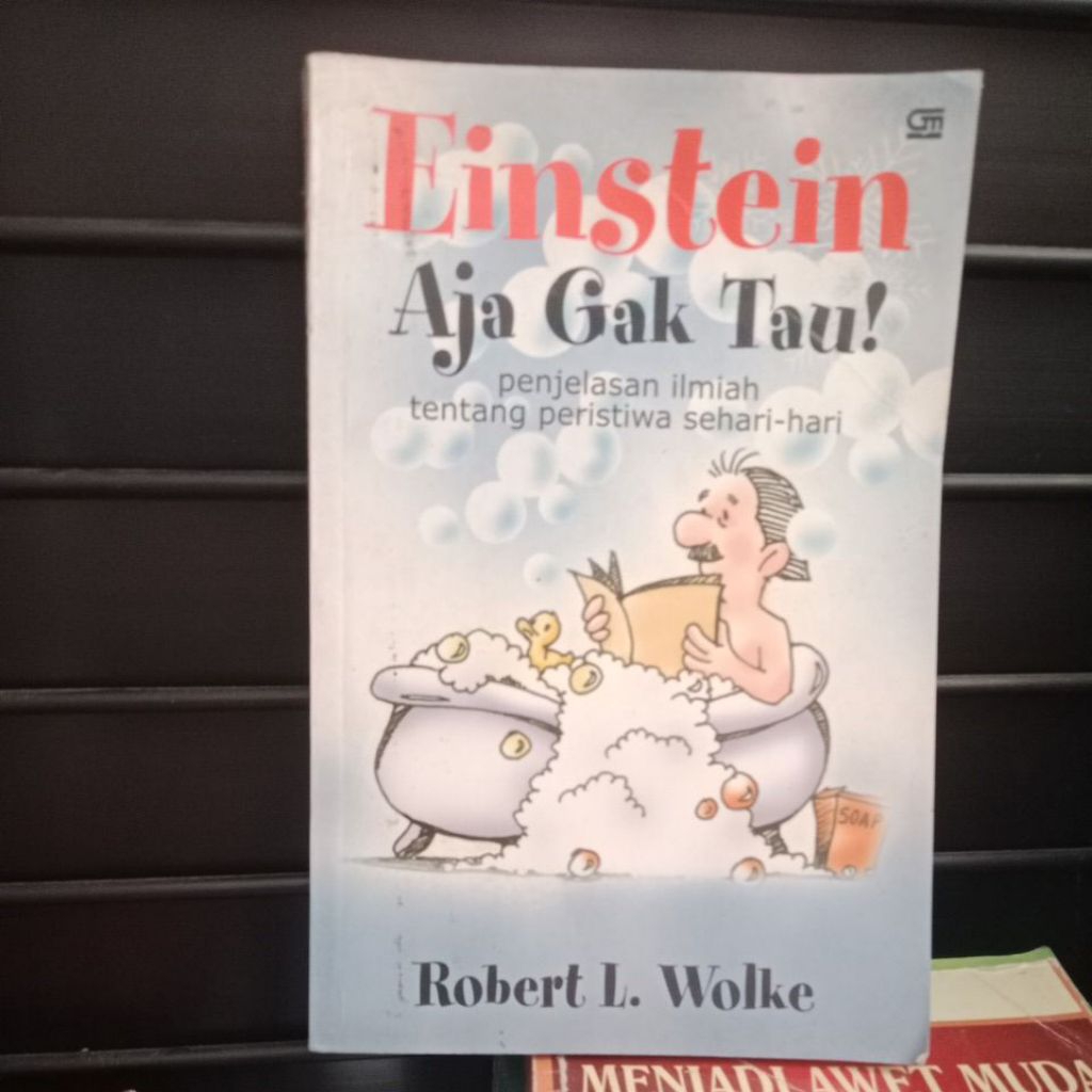 Einstein aja gak tau by Robert L. Wolke
