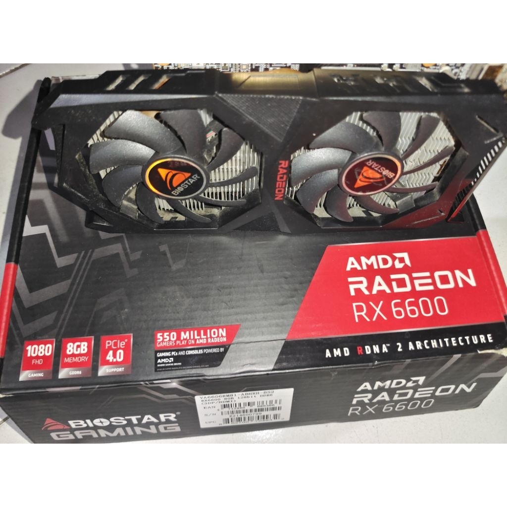 Biostar RX 6600 8GB No Display