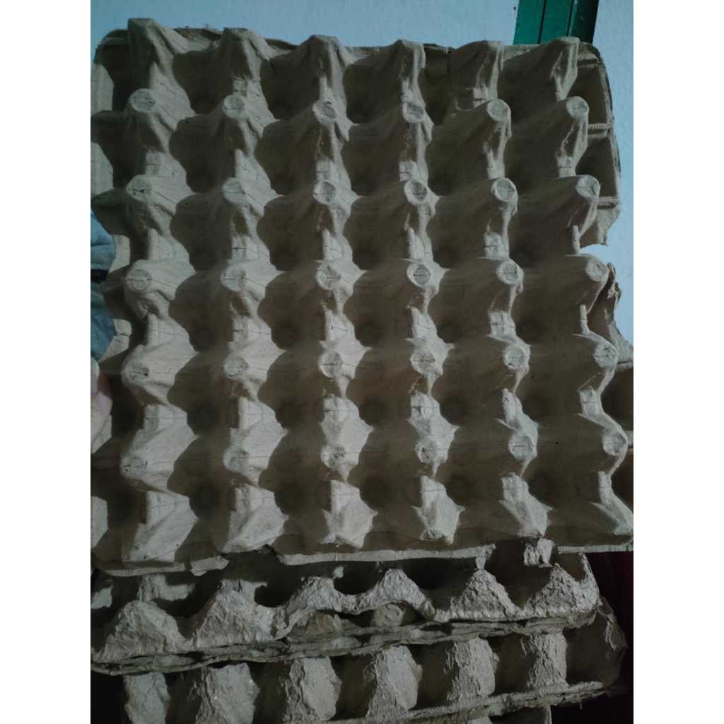 Egg Tray Karton Kertas Tempat Telur Telor Ayam Bekas Second 1'S