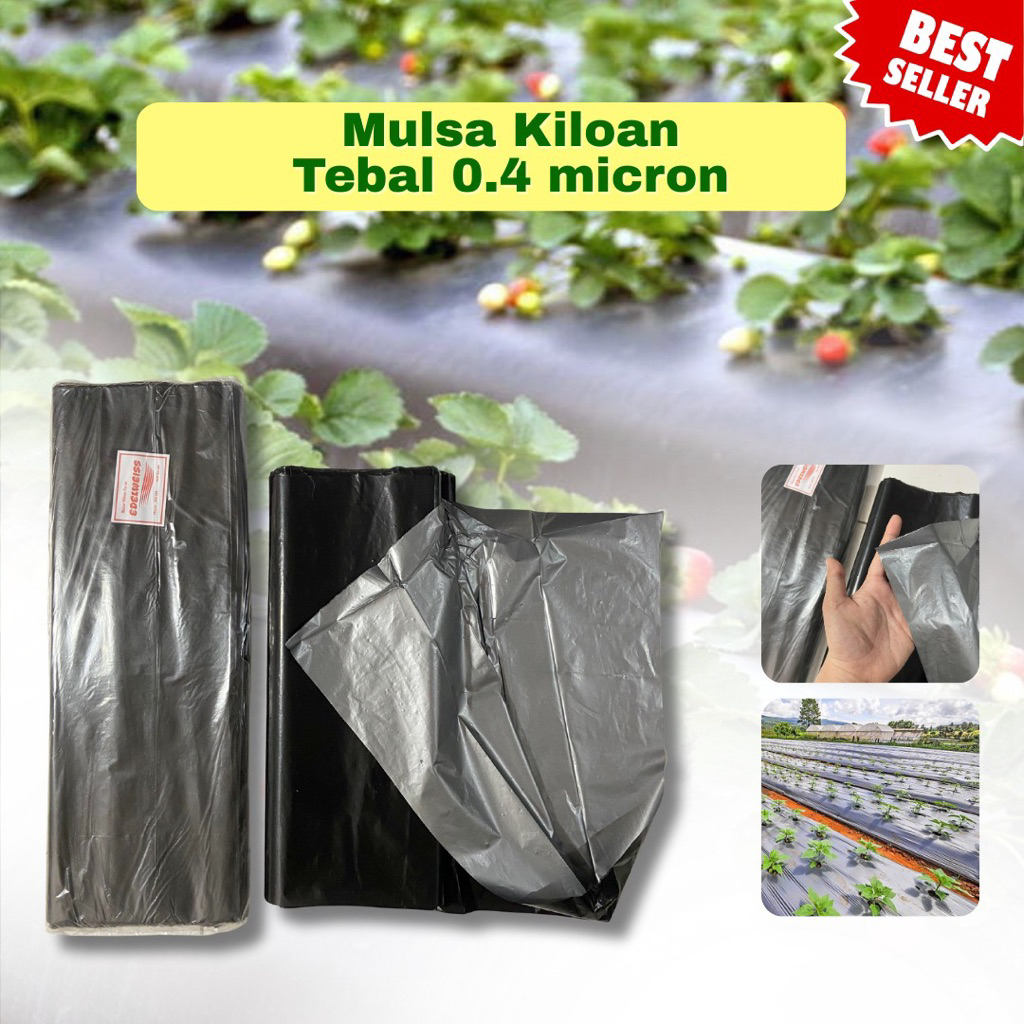 Mulsa Kiloan Murah/plastik perak pertanian per 1kg/Mulsa Hitam Perak kiloan